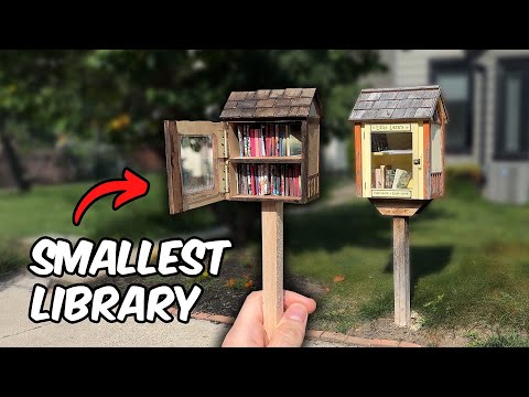 I made the TINIEST tiny library to rival my neighbor