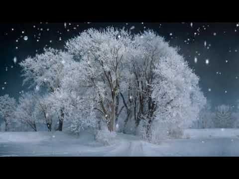 Relaxing Snow Fall Music| Relaxing Nature Music | Dream Music | Deep Sleep Music