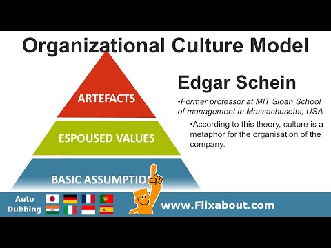 Edgar Schein's Culture Model