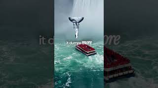Earth’s Hidden Waterfall.. 2,000x Niagara Falls!  #mindblown #curiosityhub #learnonyoutube