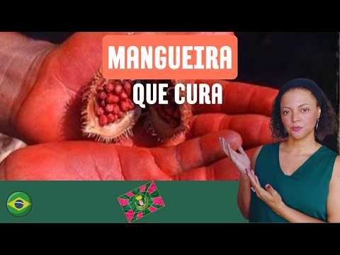 Mangueira's storyline for Carnival 2026