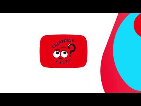 Mind-Blowing Facts About The Living World / INTRO