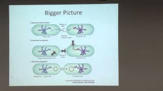 Two Techniques for Automatically Eliminating Software Defects, Martin Rinard