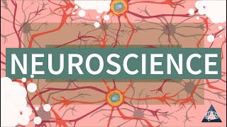 What is Neuroscience?