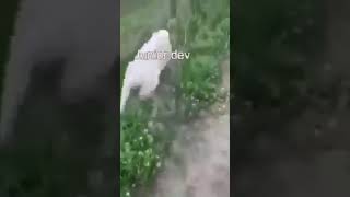 When senior developer help to junior developer #javascript #typescript #refactoring