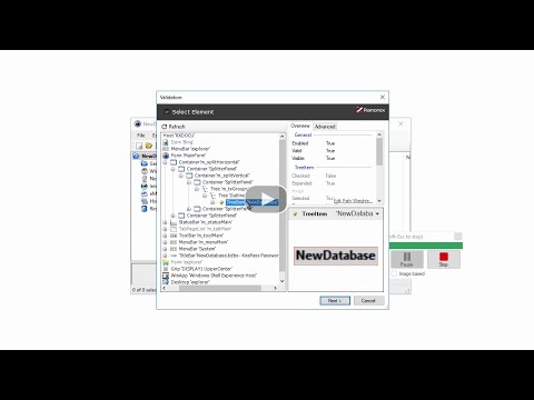 Validate with Ranorex Recorder
