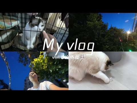 高中牲暑假vlog｜尝试拍视频的第一天🍃