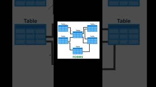 What is the difference between DBMS and RDBMS?