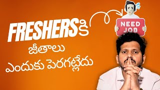 Freshersకి జీతాలు ఎందుకు పెరగట్లేదు | Java Developer  Coaching in Hyderabad | Python Course in KPHB