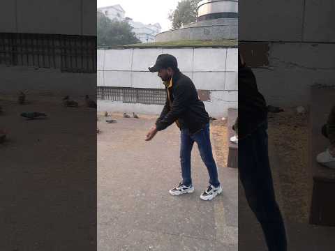 #helping #help #helpstatus #birds #birdhelp #keraamtuber ##youtubeshort #helpinggamer #helpingshorts