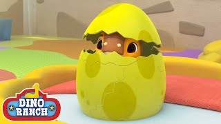 The New Baby Dino! | Dino Ranch
