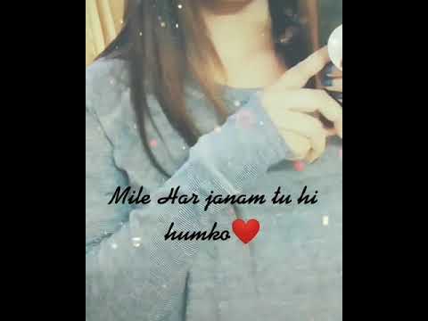 WhatsApp status