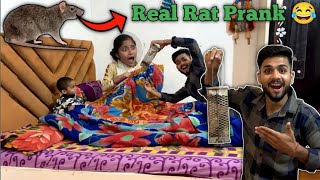Real Mouse Prank 😝 || Funny Mouse #prank Gone Wrong | #funnyvideo