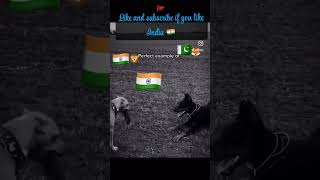#india #pakistan #china #indiachinapakistan #trending #viralshorts #shorts #reels #viralvideo #viral