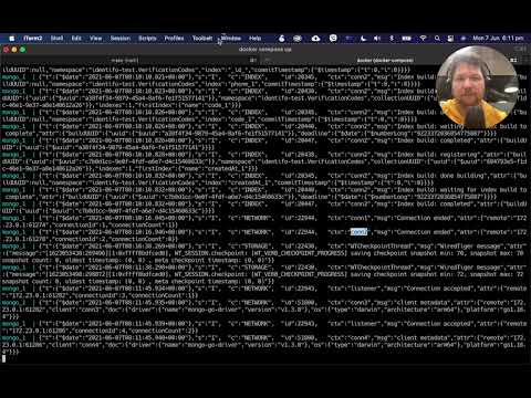 Run Identifo with MongoDB local storage