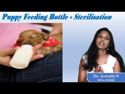 How to Sterilize Puppy Feeding Bottle - "അമ്മയില്ലാത്ത നായ്ക്കുട്ടികളുടെ പരിപാലനം" - Dr. Aswathy