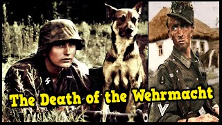 The Last Battles of the German Army on the Eastern Front 1945 | Complete Series