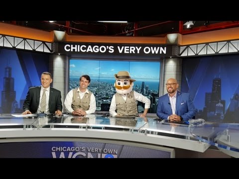 Mosquito Hunters on WGN News!