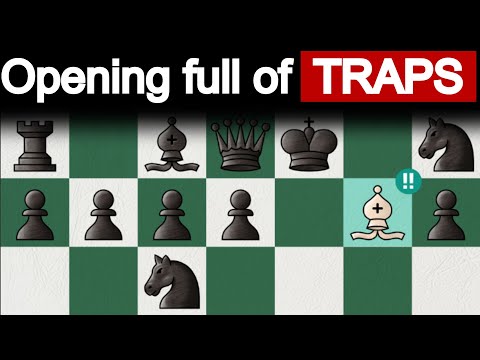 Scotch Gambit: Opening that Wins 70% Of Games