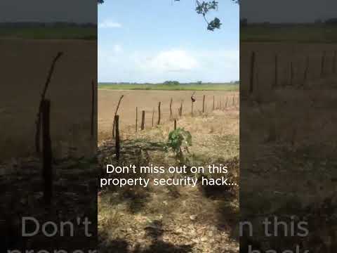 Nature Can Be Your Best Security Asset