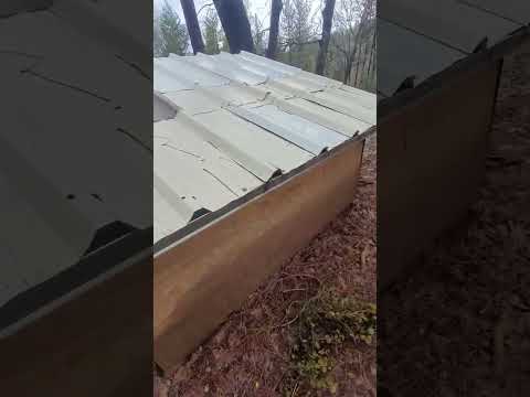 Zoe's Dog House walk-around