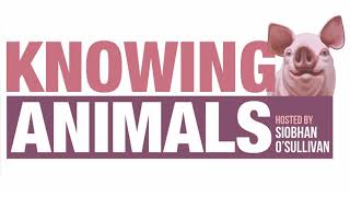 Episode 177: Our treatment of animals is the worst thing in the world, with Michael Huemer