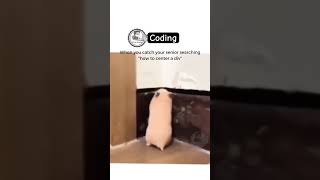 Coding senior 😂 | memes | daily shorts | funny #funny #memecoding #app #uxdesign #comedy #meme