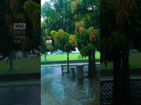 আহ বর্ষার আগমনী সুর #rain #video #short #shorts #clips