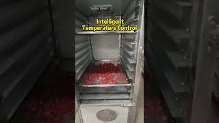 Intelligent temperature controlled dryer #dryingmachine #dryingequipment #factory