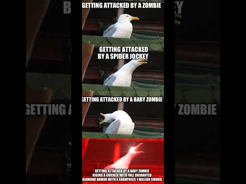 Meme