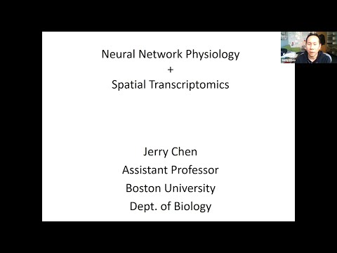 Neural Network Physiology + Spatial Transcriptomics (Speaker: Jerry Chen)