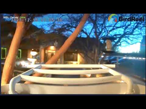 BirdReel Live Stream 12/15/23