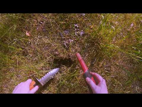 Metalo paieškos miške (Metal detecting LIVE)