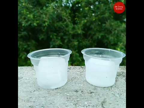 Rasy science experiment in home ice. Experiment amazing #shorts