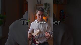 The 4 types of bass players #bass