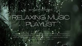 🎶 🎶 🎶No Lyrics Music Playlist: Music Lofi Chill: 2024 Music Collection #11