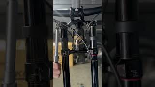 PIVOT PHOENIX 2025 DOWNHILL BIKE IS HERE!