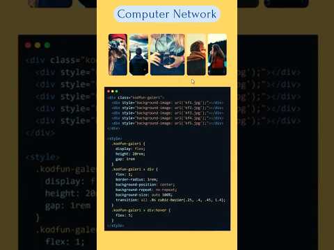 How to add image transition effects to website from HTML #shorts #coding