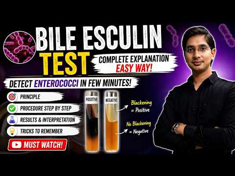 Bile Esculin Test 🔴🧫| Enterococci Identification | #microbiologyclass #labtechnician #bmlt #dmlt