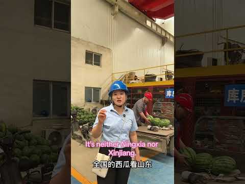 Dear friends, if you come to visit Shandong Boyu, you can get plenty of free watermelons.