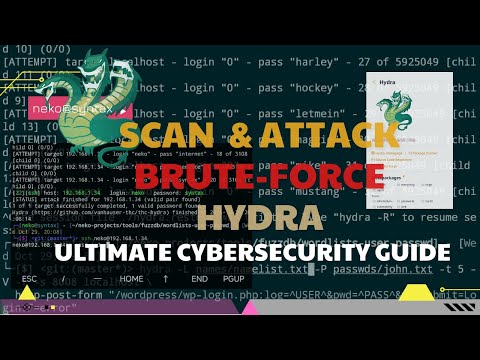 Scan & Attack Brute-Force with Hydra | Hack in Termux