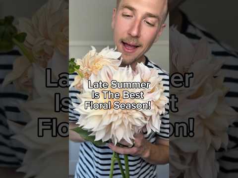 Late summer flowers are the BEST!