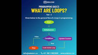 Programming Basic: What are Loops?(Part - 2) #programminglanguage #programmer  #programmingisfun