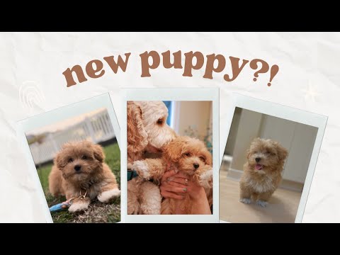Charlie's new brother!? | Ep 24
