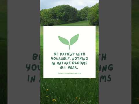 Patient With Yourself : Nothing Blooms All Year