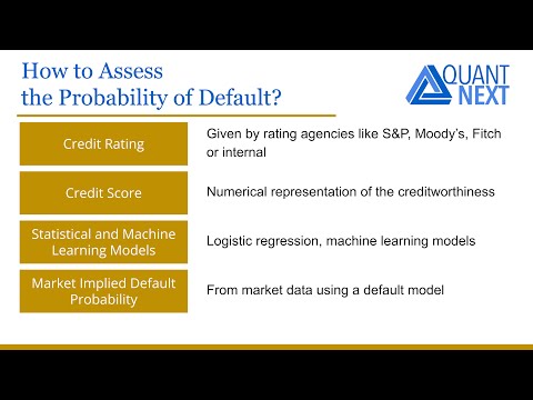 Credit Risk Modelling: The Probability of Default