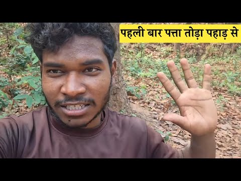 Pahli Bar Pahad Chadgaya Patta Todne 😇 Pahadi Lifestyle Vlog | Pushpen Kanwar Vlogs