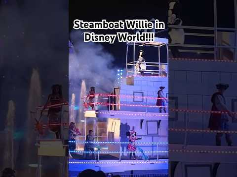 A FANTASMIC surprise🥹 #disney #disneyworld #fantasmic #mickeymouse #steamboatwillie #steamboat