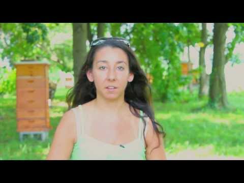 Summer Scholars: Environmental Science Research