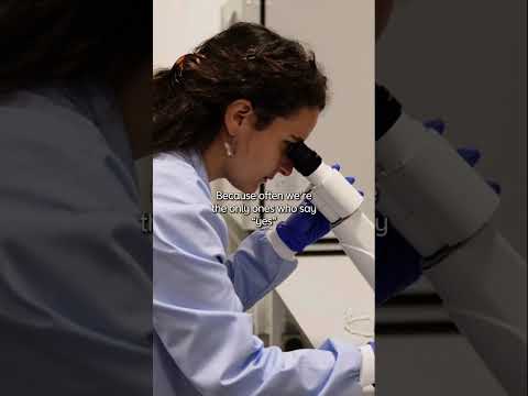 The butterfly effect